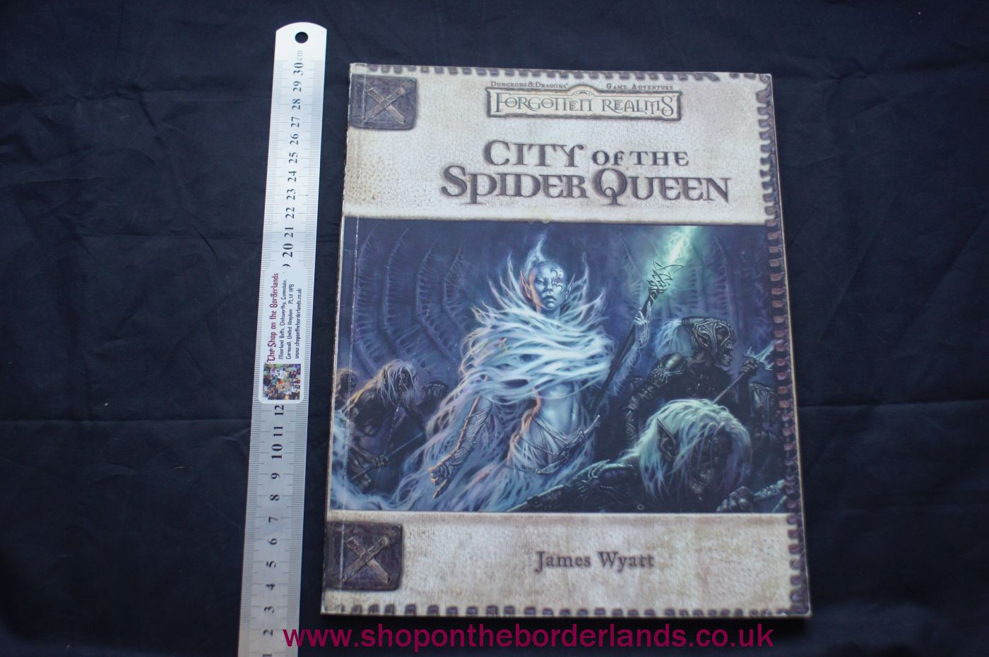 forgotten realms city of the spider queen pdf